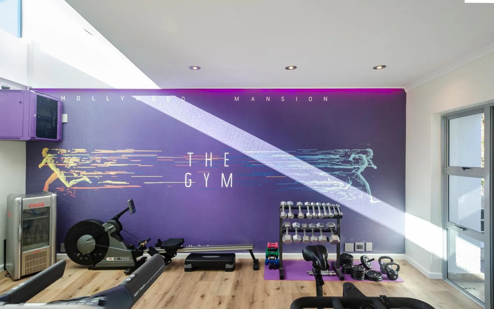 Home gym with weights and cardio equipment