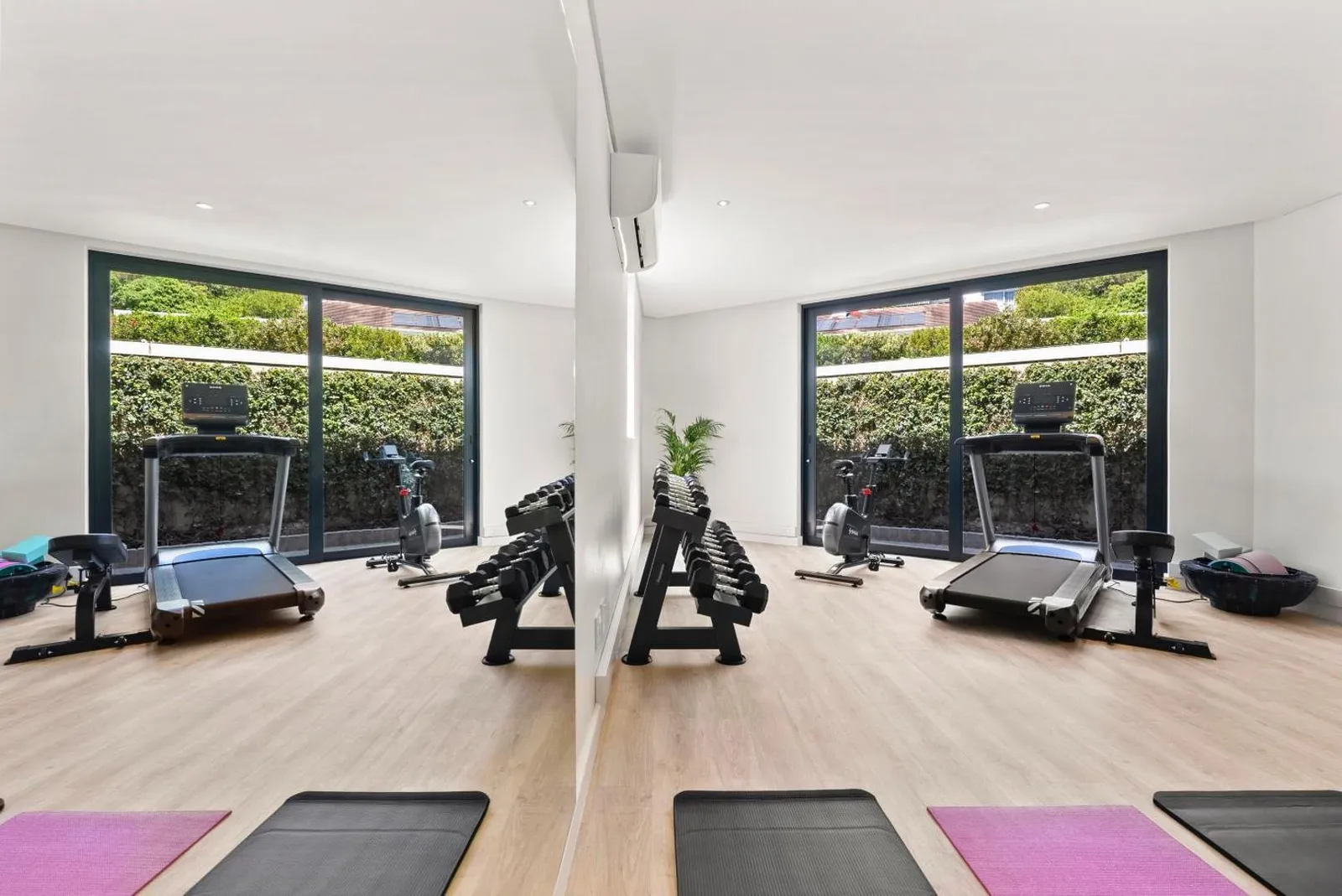 Home gym with cardio and weights equipment